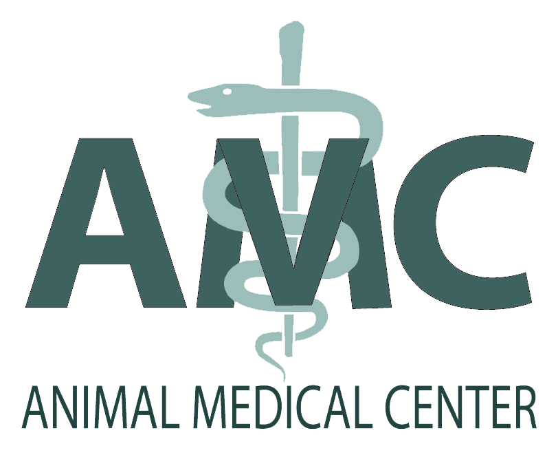 Animal Medical Center Uniontown, PA